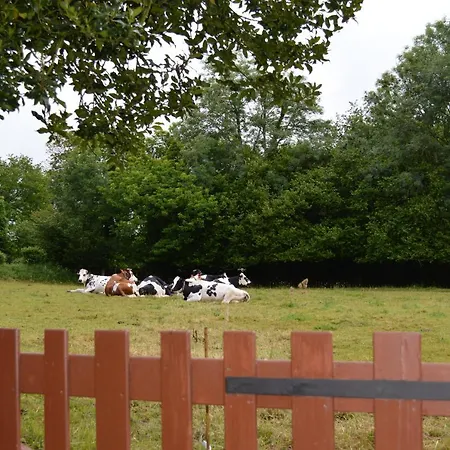 Ferienhaus Du Rochelu 4 Etoiles 5000 M2 Of Garden, Near To Mont Saint Michel & Granville Island