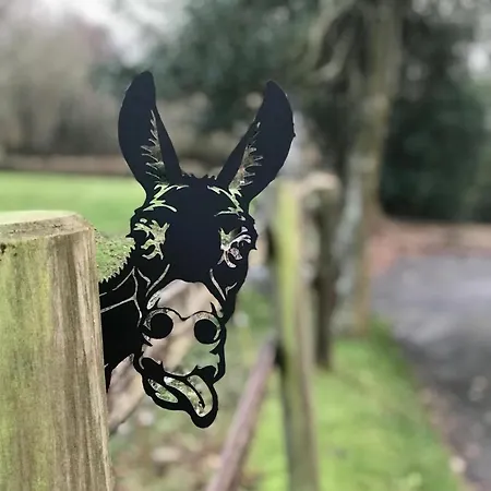 Du Rochelu 4 Etoiles 5000 M2 Of Garden, Near To Mont Saint Michel & Granville Island Ferienhaus