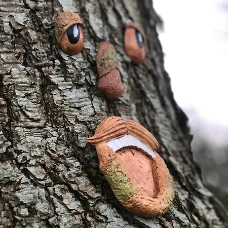 Du Rochelu 4 Etoiles 5000 M2 Of Garden, Near To Mont Saint Michel & Granville Island Ferienhaus