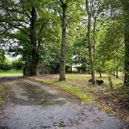 Ferienhaus Du Rochelu 4 Etoiles 5000 M2 Of Garden, Near To Mont Saint Michel & Granville Island *