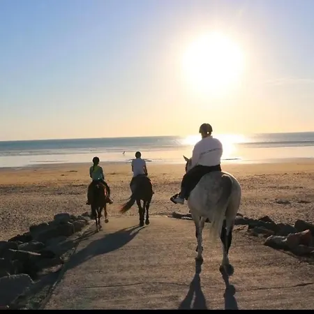 Du Rochelu 4 Etoiles 5000 M2 Of Garden, Near To Mont Saint Michel & Granville Island