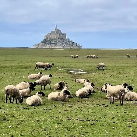Du Rochelu 4 Etoiles 5000 M2 Of Garden, Near To Mont Saint Michel & Granville Island Ferienhaus Bourguenolles
