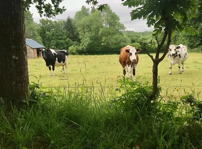 Casa vacanze Du Rochelu 4 étoiles 5000 M2 Of Garden, Near To Mont Saint Michel&granville Island