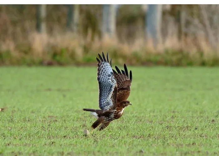 Du Rochelu 4 étoiles 5000 M2 Of Garden, Near To Mont Saint Michel&granville Island Casa vacanze Bourguenolles
