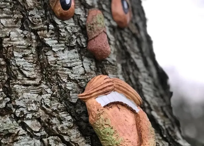 Du Rochelu 4 étoiles 5000 M2 Of Garden, Near To Mont Saint Michel&granville Island Casa vacanze