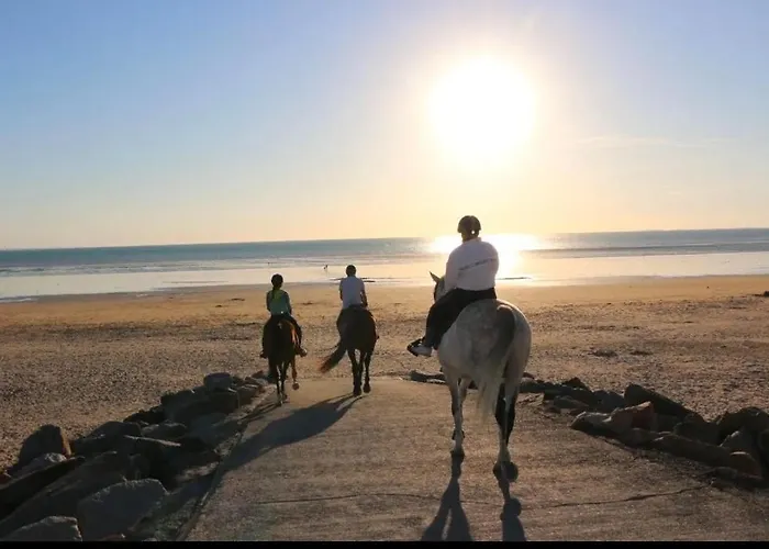 Du Rochelu 4 étoiles 5000 M2 Of Garden, Near To Mont Saint Michel&granville Island