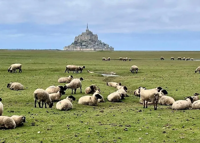 Du Rochelu 4 étoiles 5000 M2 Of Garden, Near To Mont Saint Michel&granville Island Casa vacanze Bourguenolles