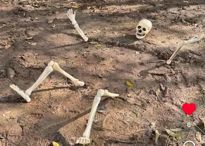 Du Rochelu 4 étoiles 5000 M2 Of Garden, Near To Mont Saint Michel&granville Island Hébergement de vacances *