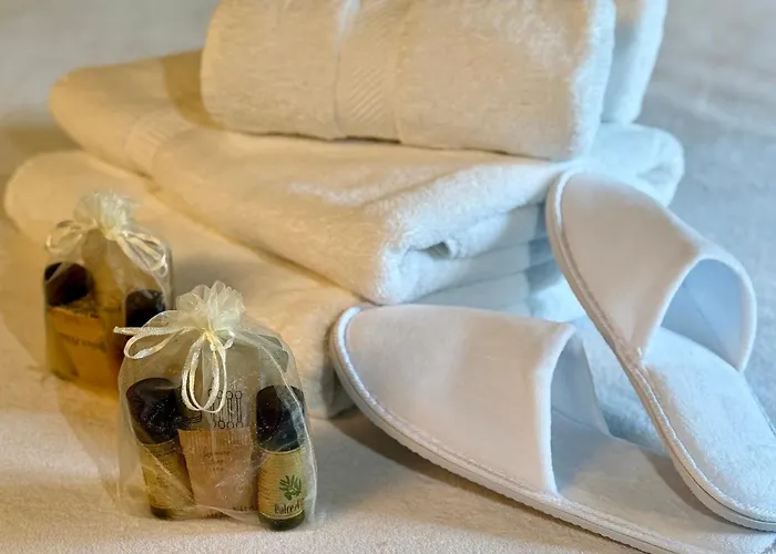 Du Rochelu 4 étoiles 5000 M2 Of Garden, Near To Mont Saint Michel&granville Island *